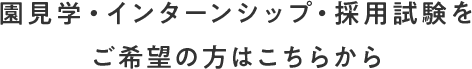 園見学・インターンシップ・採用試験を
            ご希望の方はこちらから